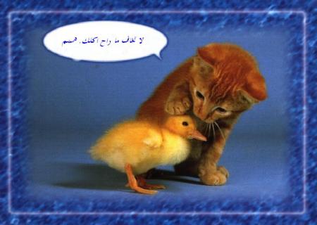 no proplem you welcom